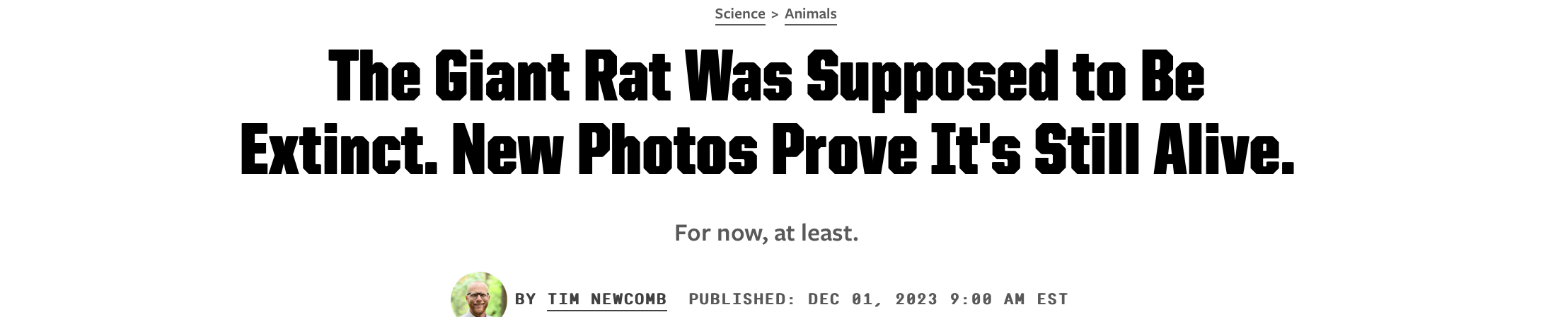 image 16.png image 16.png