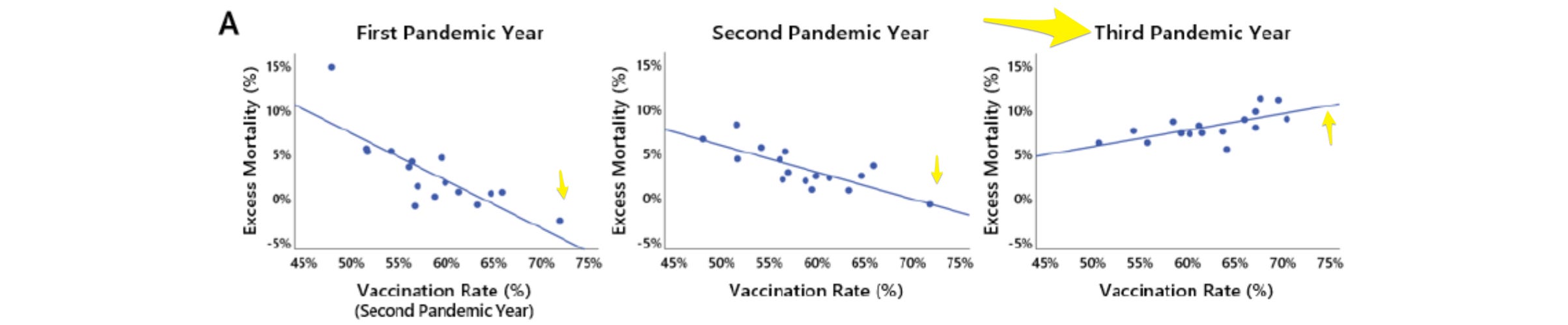 image 2.png image 2.png