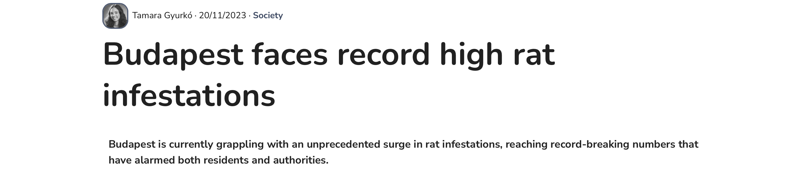 image 19.png image 19.png