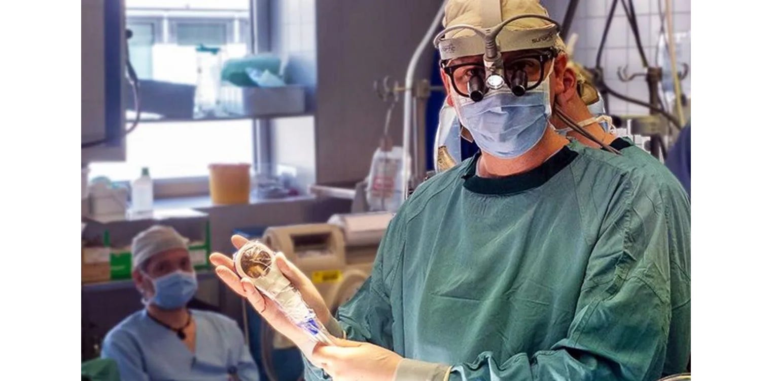 image 15.png image 15.png