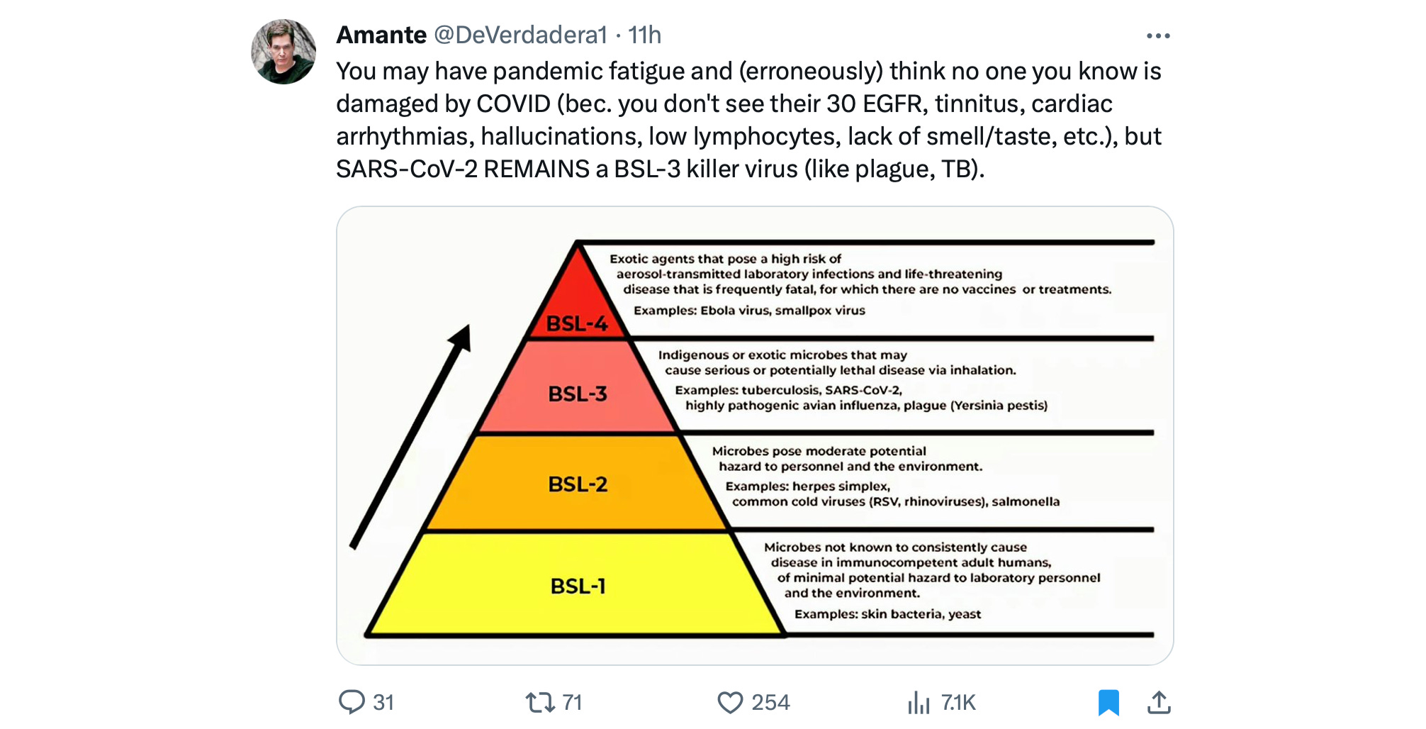 image 6.png image 6.png