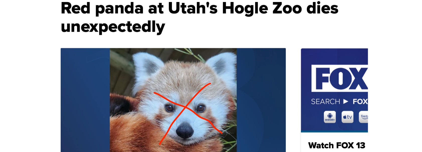 image 8.png image 8.png