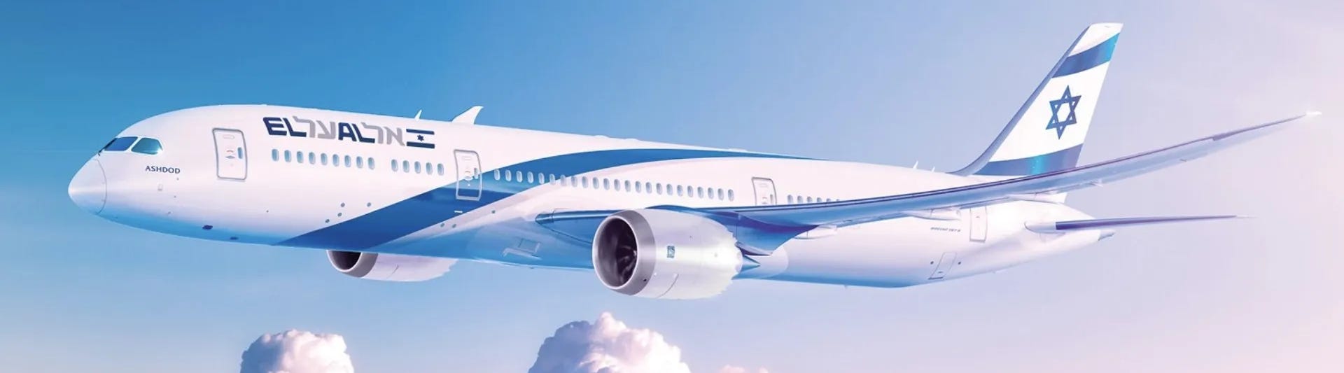 image 11.png image 11.png