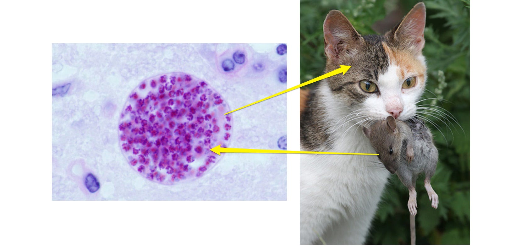 image 3.png image 3.png