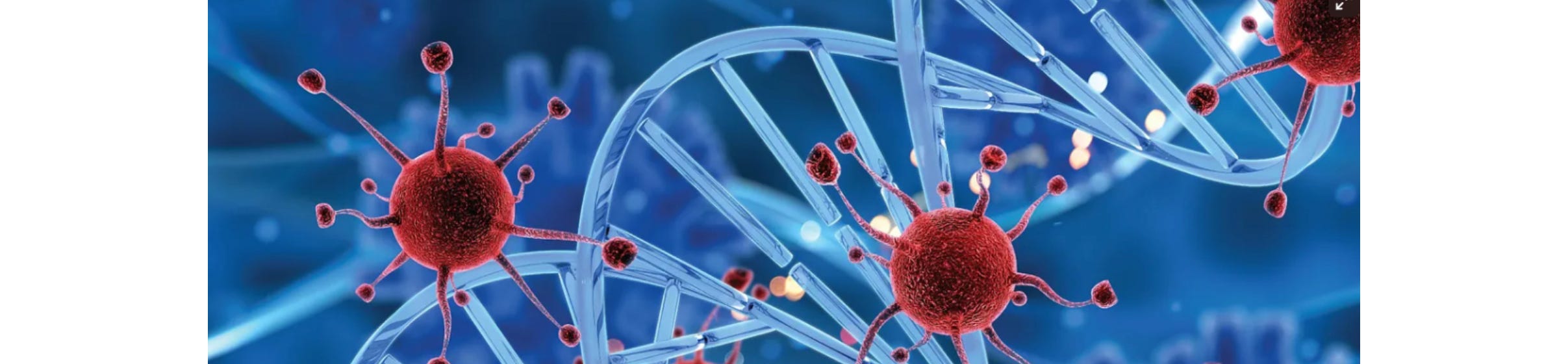 image 5.png image 5.png