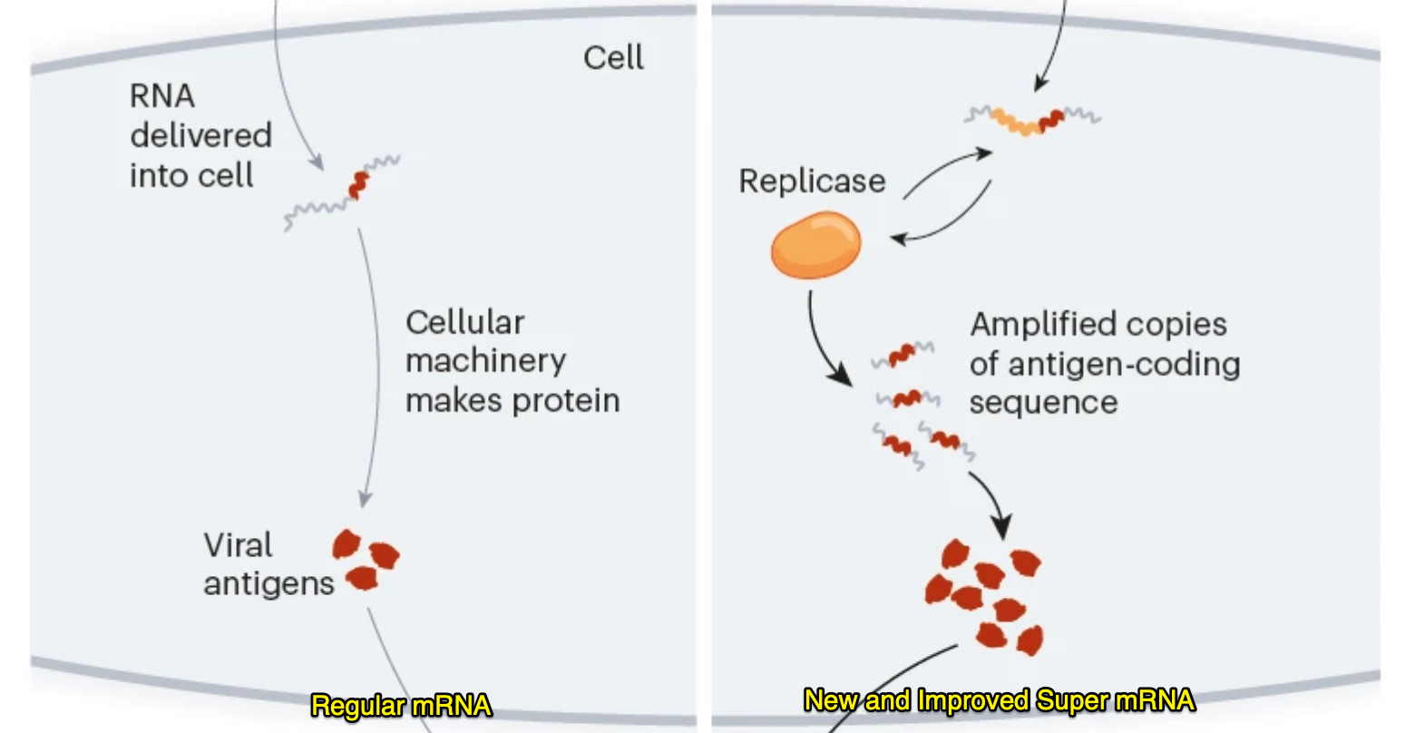 image 3.png image 3.png