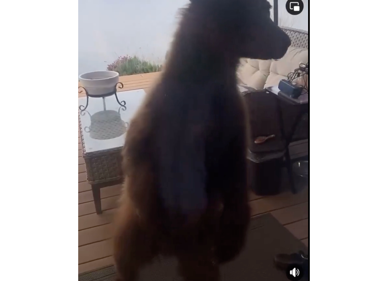 image 2.png image 2.png