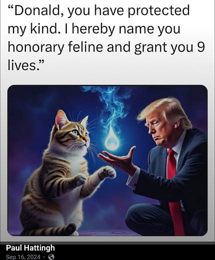 Paul Hattingh Paul Hattingh