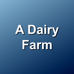A Dairy Farm