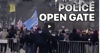 This Video & Investigation Destroys ‘Capitol Riot’ Narrative! This Video & Investigation Destroys ‘Capitol Riot’ Narrative!