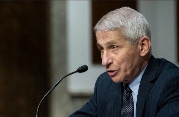 Intel Committee: Fauci Developed Bio-Weapons In China & The Likely Escaped Causing Covid! Intel Committee: Fauci Developed Bio-Weapons In China & The Likely Escaped Causing Covid!