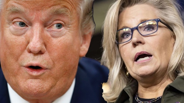 Alert: 35 Republicans Vote To Persecute Trump Supporters As Nazi’s Persecuted The Jews Alert: 35 Republicans Vote To Persecute Trump Supporters As Nazi’s Persecuted The Jews