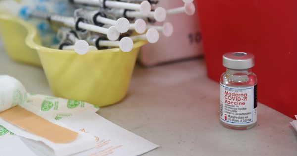 COVID-19 Vaccines May Lead To Brain Degeneration, Mad Cow Disease-Like Symptoms COVID-19 Vaccines May Lead To Brain Degeneration, Mad Cow Disease-Like Symptoms