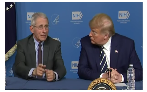 Trump Planned Presidential Commission To Publicly Question Fauci On Funding Wuhan Lab & … Trump Planned Presidential Commission To Publicly Question Fauci On Funding Wuhan Lab & …