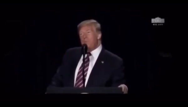 Breaking! Gen. Mike Flynn Drops Powerful Video – Trump Issues Dire Warning