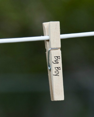 Clothes pins used as plant markers