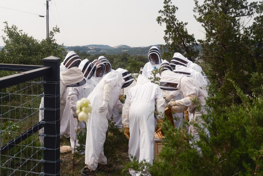‘Bee Keeping 101’ class led by Entomologist Molly Keck in Boerne on Friday, May 10, 2024