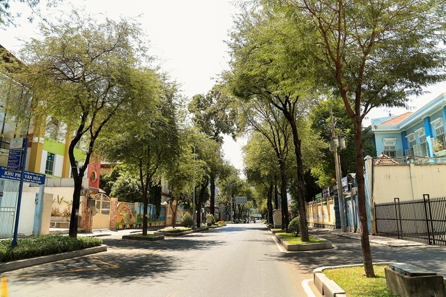 saigon mua covid 19 12 saigon mua covid 19 12