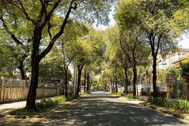 saigon mua covid 19 17 saigon mua covid 19 17