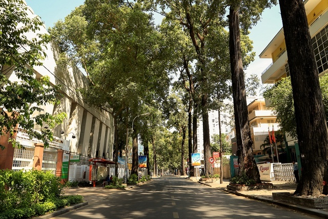 saigon mua covid 19 14 saigon mua covid 19 14