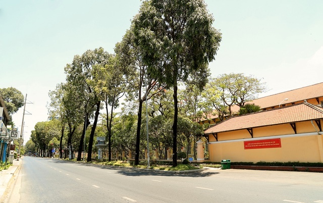 saigon mua covid 19 19 saigon mua covid 19 19