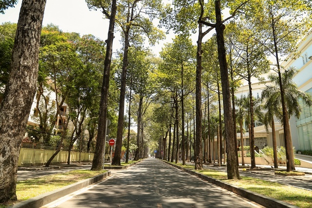 saigon mua covid 19 08 saigon mua covid 19 08