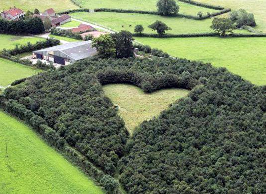 khu vườn trái tim