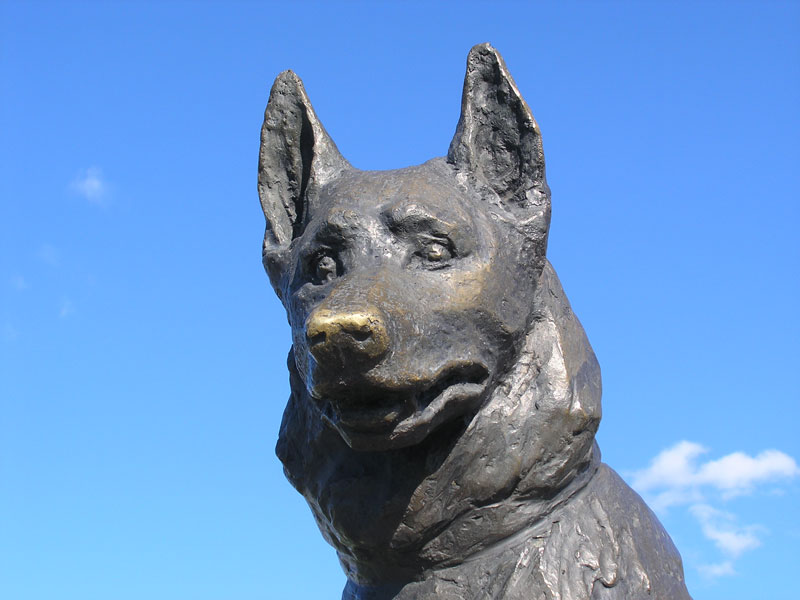 There’s a Statue in Russia Dedicated to the Most Loyal Dog a City Has Ever Known