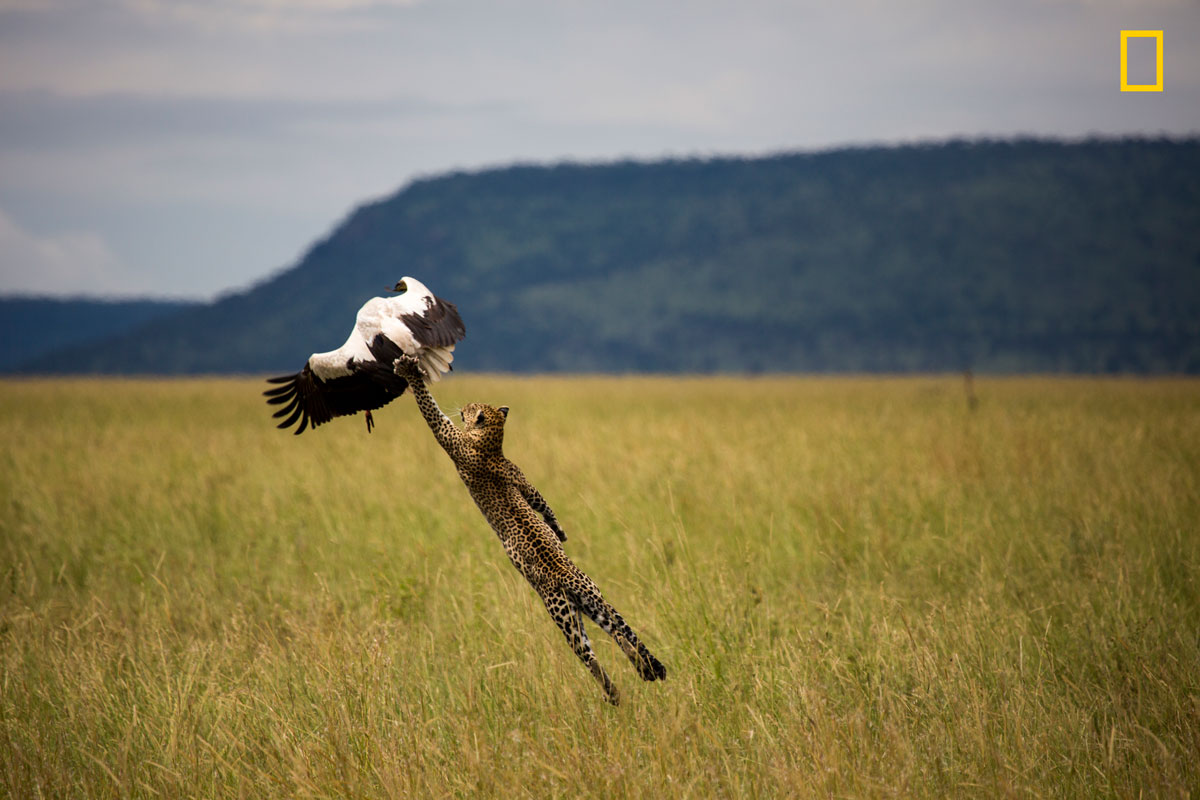 ng tpoty nature week3 004 Early Highlights from the 2018 Nat Geo Travel Photographer of the Year Contest