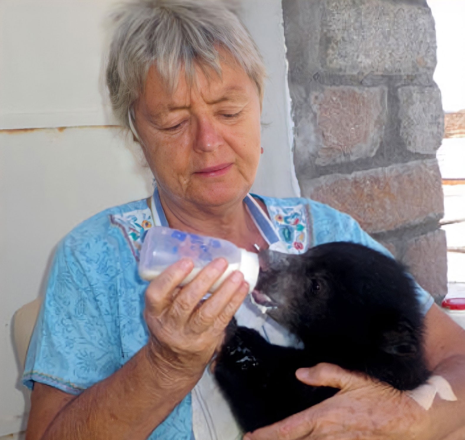 Clementien Koenegras bottle feeding a bear cub