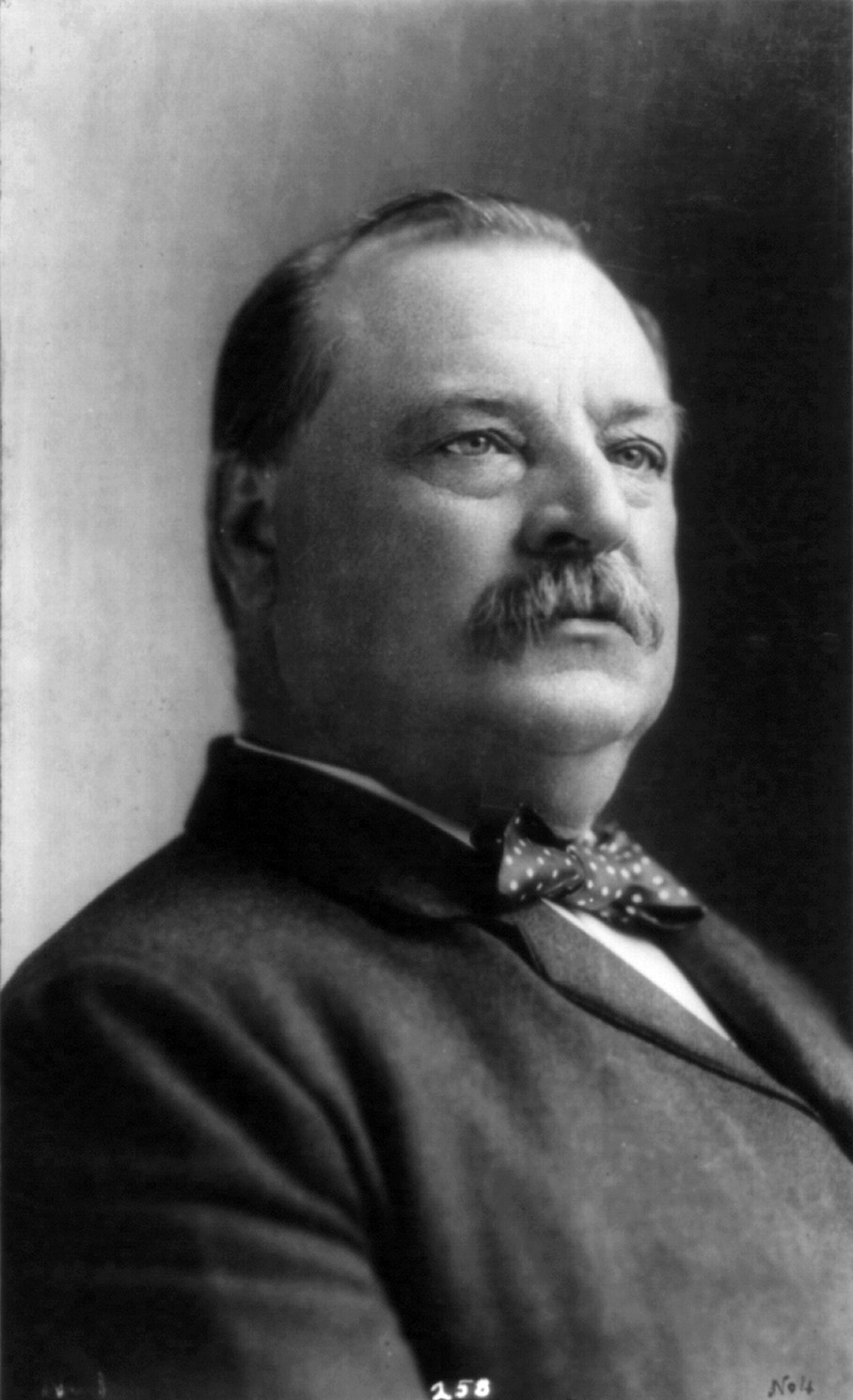 Grover_Cleveland_cph,3a01886.jpg (907×1488)