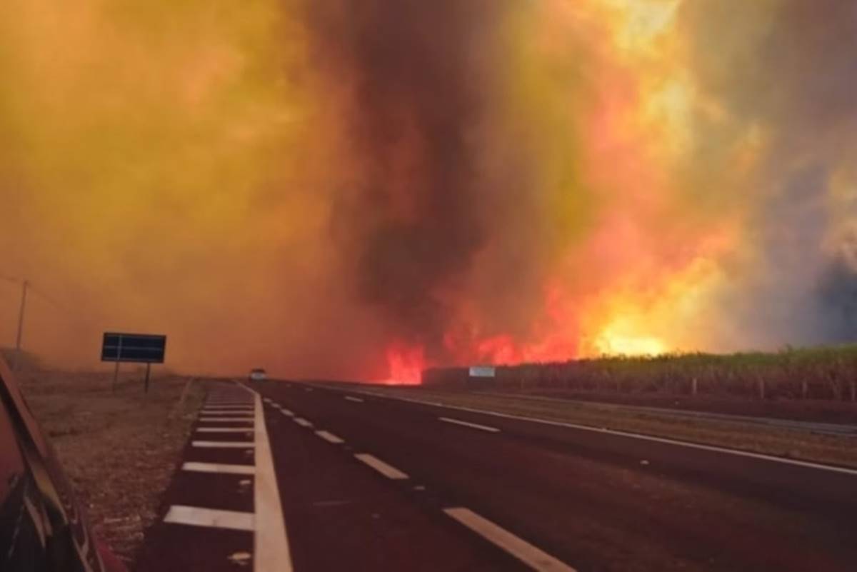 Temporada de queimadas no Brasil ainda não acabou. Chuva recente não vai impedir que focos de fogo e fumaça em São Paulo voltem a surgir - Metrópoles