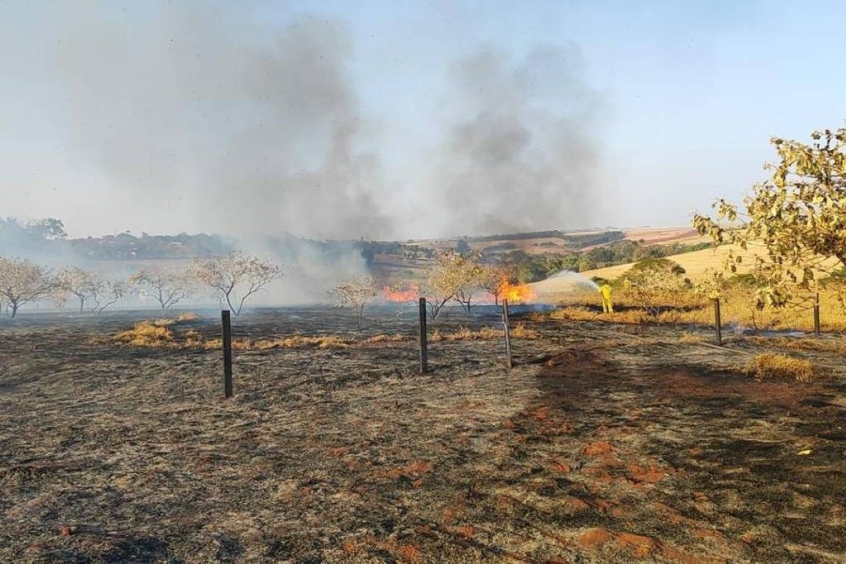 Imagem colorida de ponto de incêndio em Batatais. Metrópoles