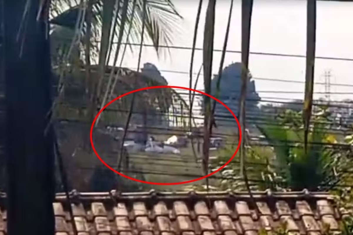 Imagem com círculo vermelho que mostra queda de avião em Rio Preto, no interior de São Paulo. - Metrópoles