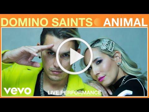 Domino Saints - Animal (Live Performance) | Vevo