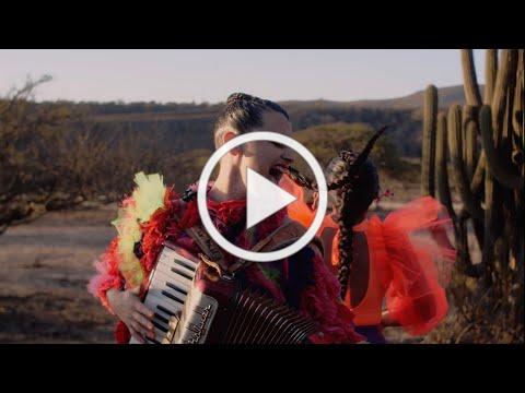 Pascuala Ilabaca y Fauna - Por que se fue la paloma (Video Oficial)