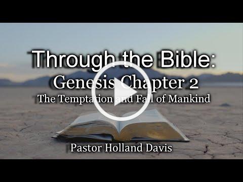 The Book of Genesis - Chapter 3 - The Temptation and Fall of Mankind