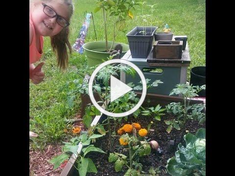 Interview with 9 Year Old Kaelyn about Growing Food