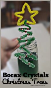 borax-crystals-Christmas-Trees