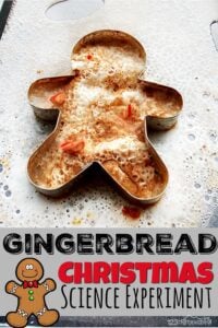 Fizzy Gingerbread Man Christmas Science Experiment was a huge hit!  Children from toddler, preschool, pre-k, kindergarten, to first grade students will enjoy this Christmas Science Activities perfect for making learning fun in December.