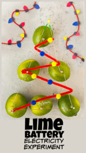Looking for a really cool christmas science activity for kids? We made the simple lime battery project into a relaly cool science Christmas tree. This battery lime experiment is perfect for introducing preschool, pre-k, kindergarten, first grade, and 2nd graders to electricity for kids. All you need ar a few simple materials and you can try these fun Chrsitmas Science experiments.