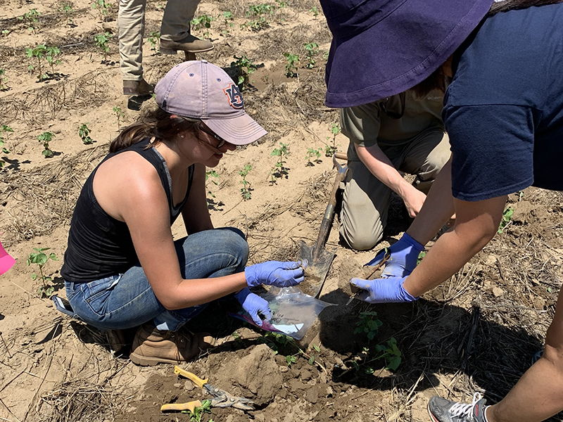 Two women in a field collecting a soil sample