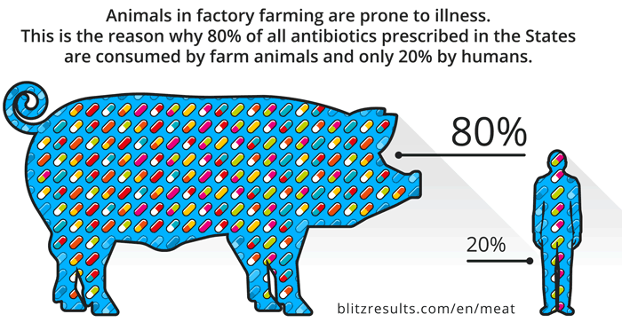 Infographic Antibiotics for Livestock