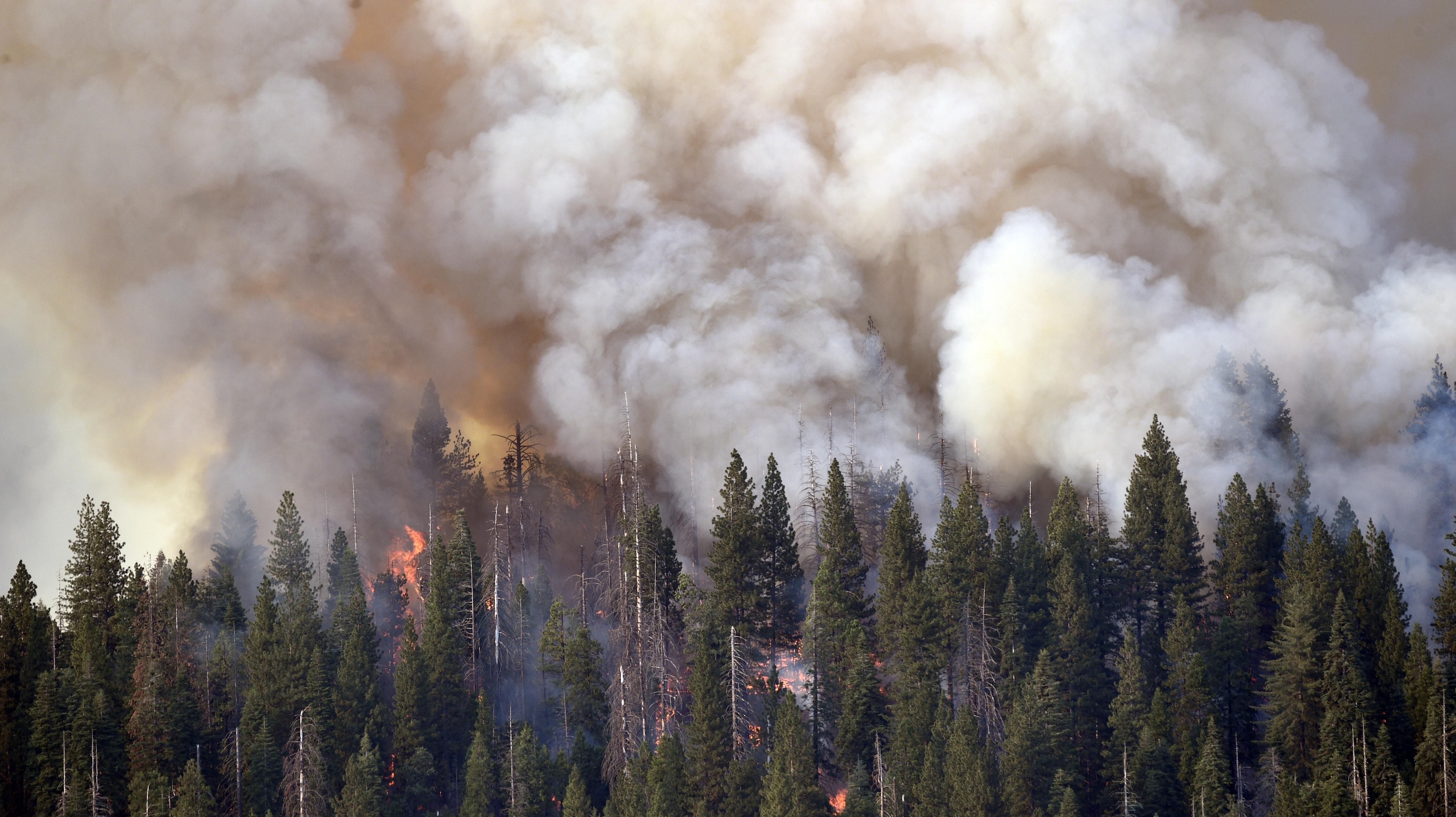 Smoke and flames rise as the Washburn Fire burns around the Mariposa Grove of giant sequoias at Yosemite National Park in California on July 10, 2022.