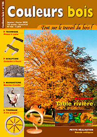 Couverture Couleurs bois n°106