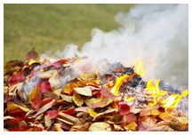 Burning leaves