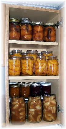 Pantry in cabinet in our home
