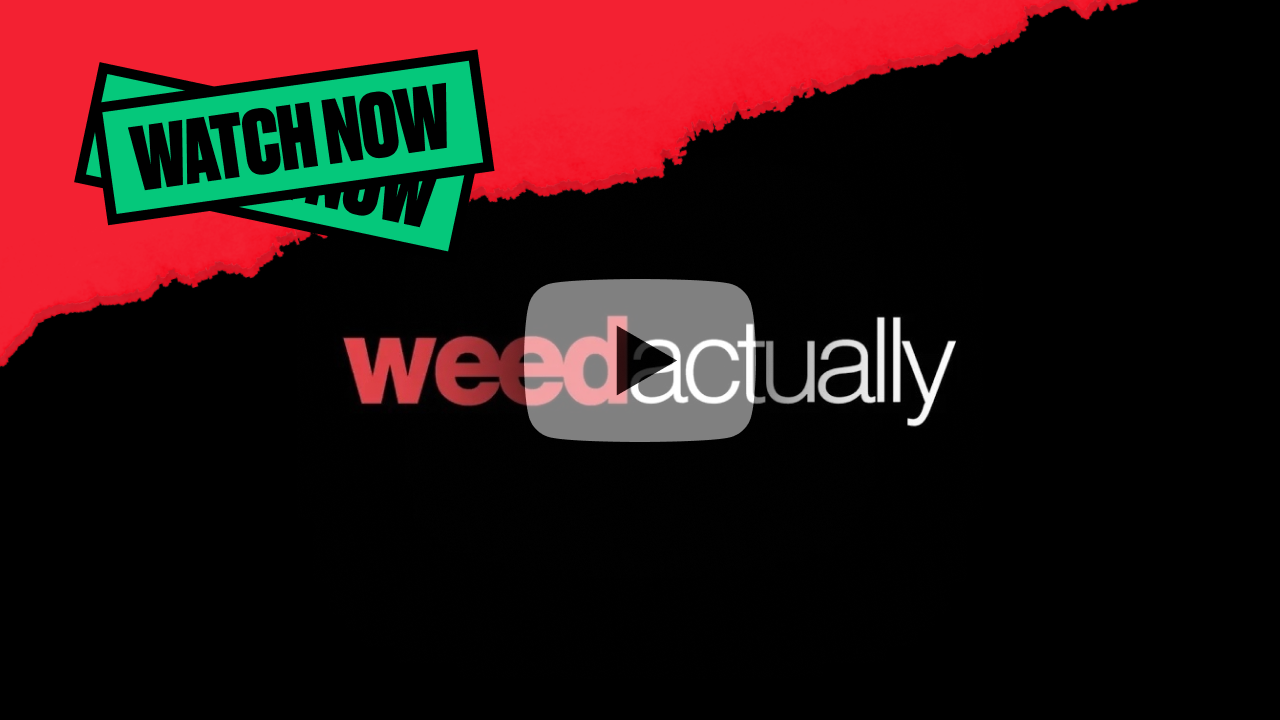 Watch Weed Actually Now!