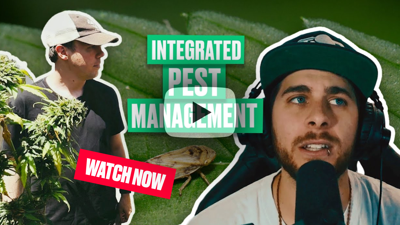 Watch our IPM special with Matthew Gates!