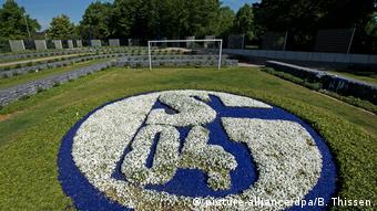 Deutschland Bestattungsriten | Schalke FanFeld auf einem Gelsenkirchener Friedhof (picture-alliance/dpa/B. Thissen)